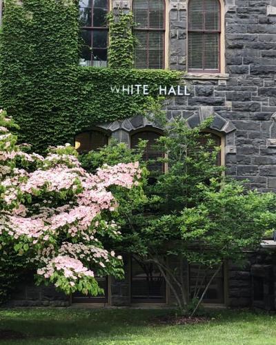 White Hall with flowers